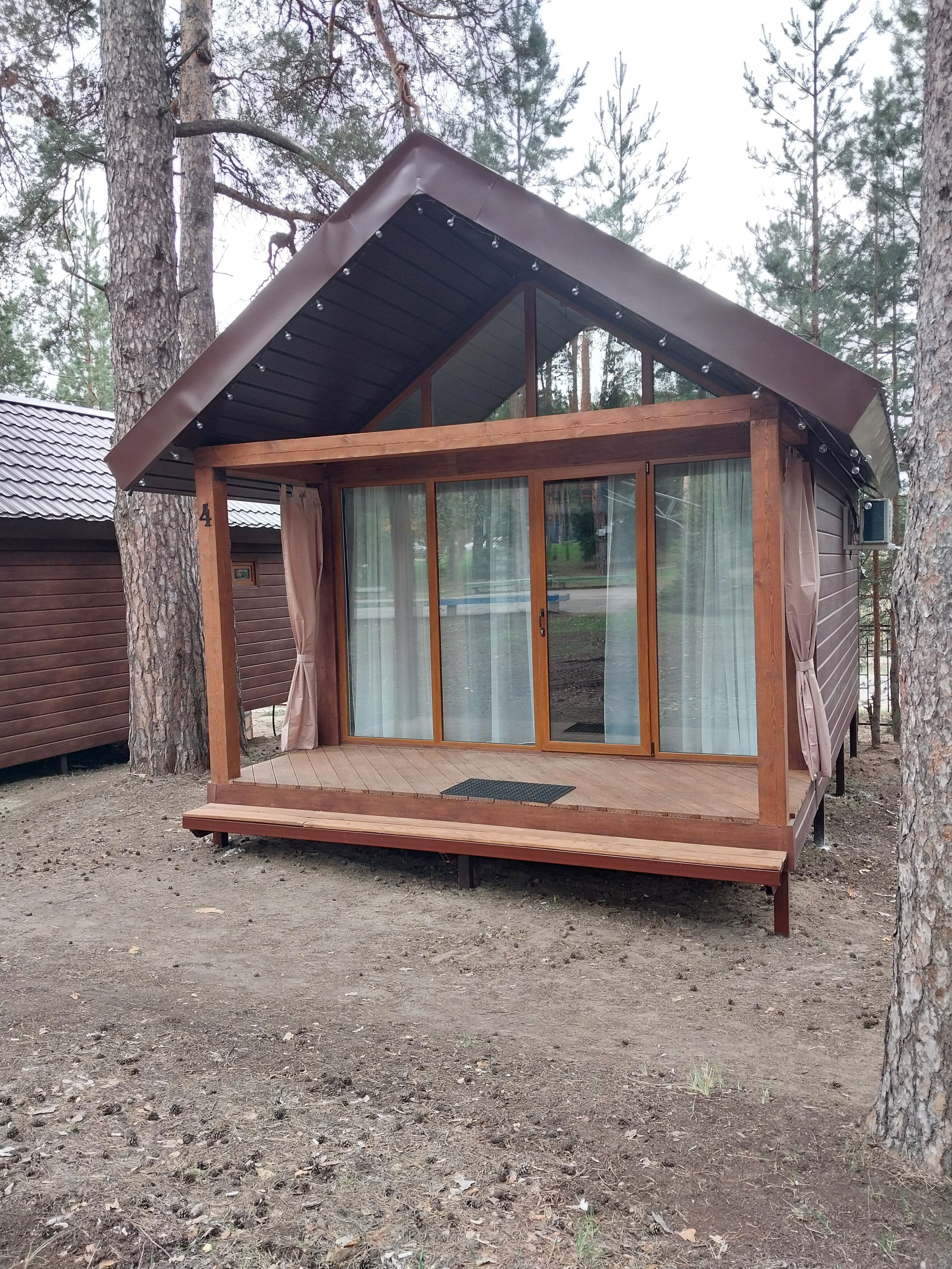 Фото Сосновый бор