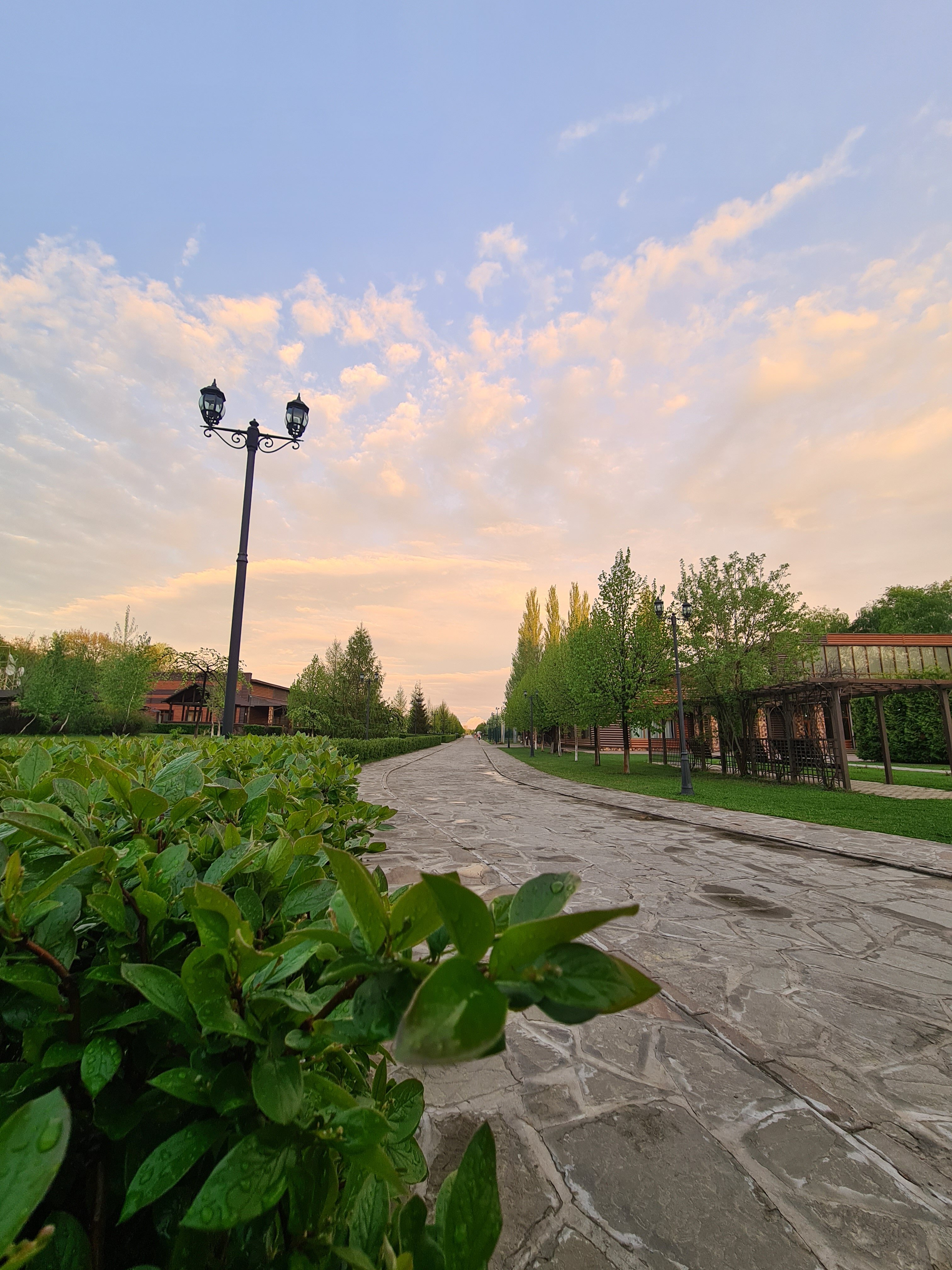 Фото Васильевский