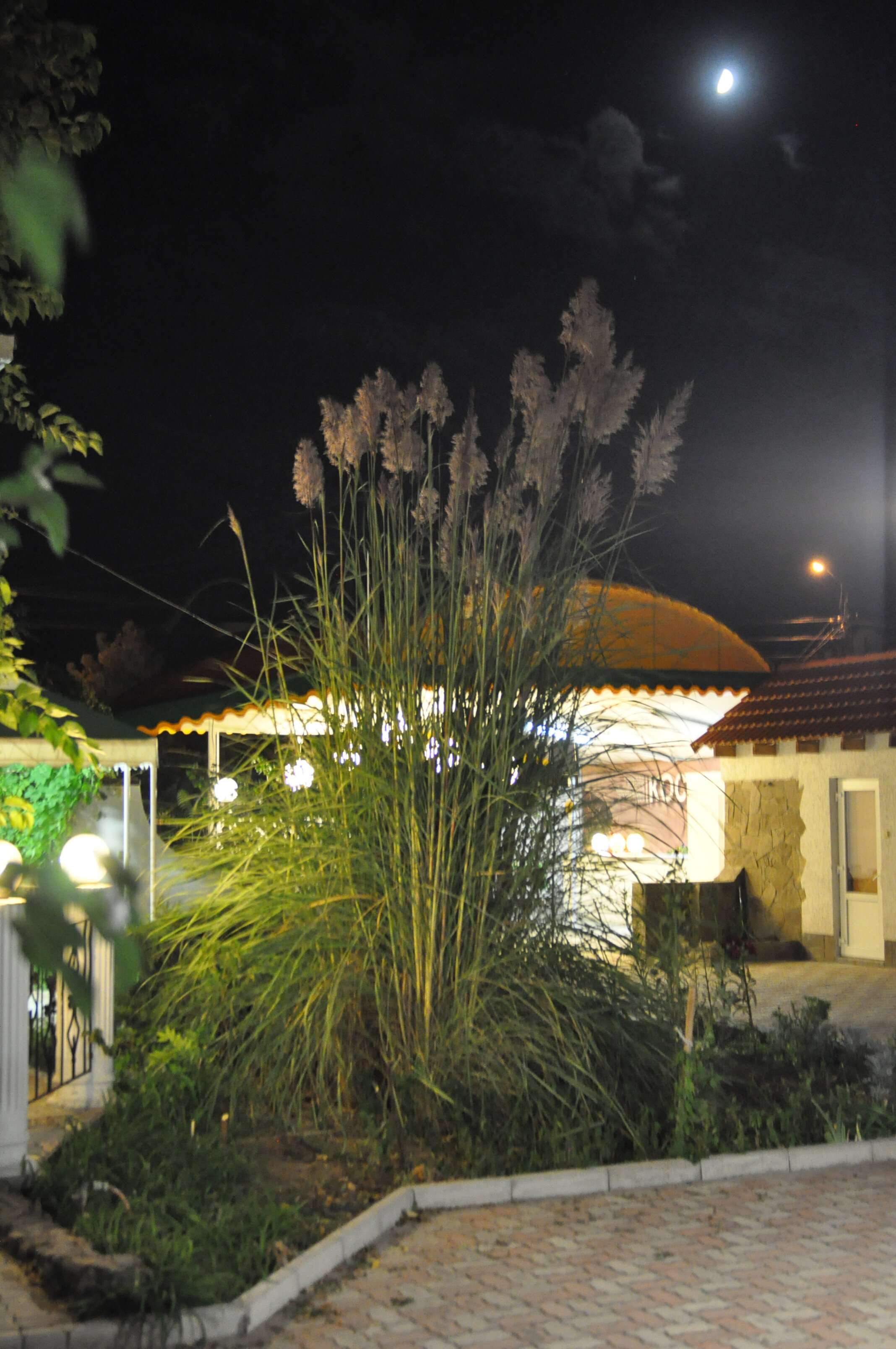 Фото Меридиана-2