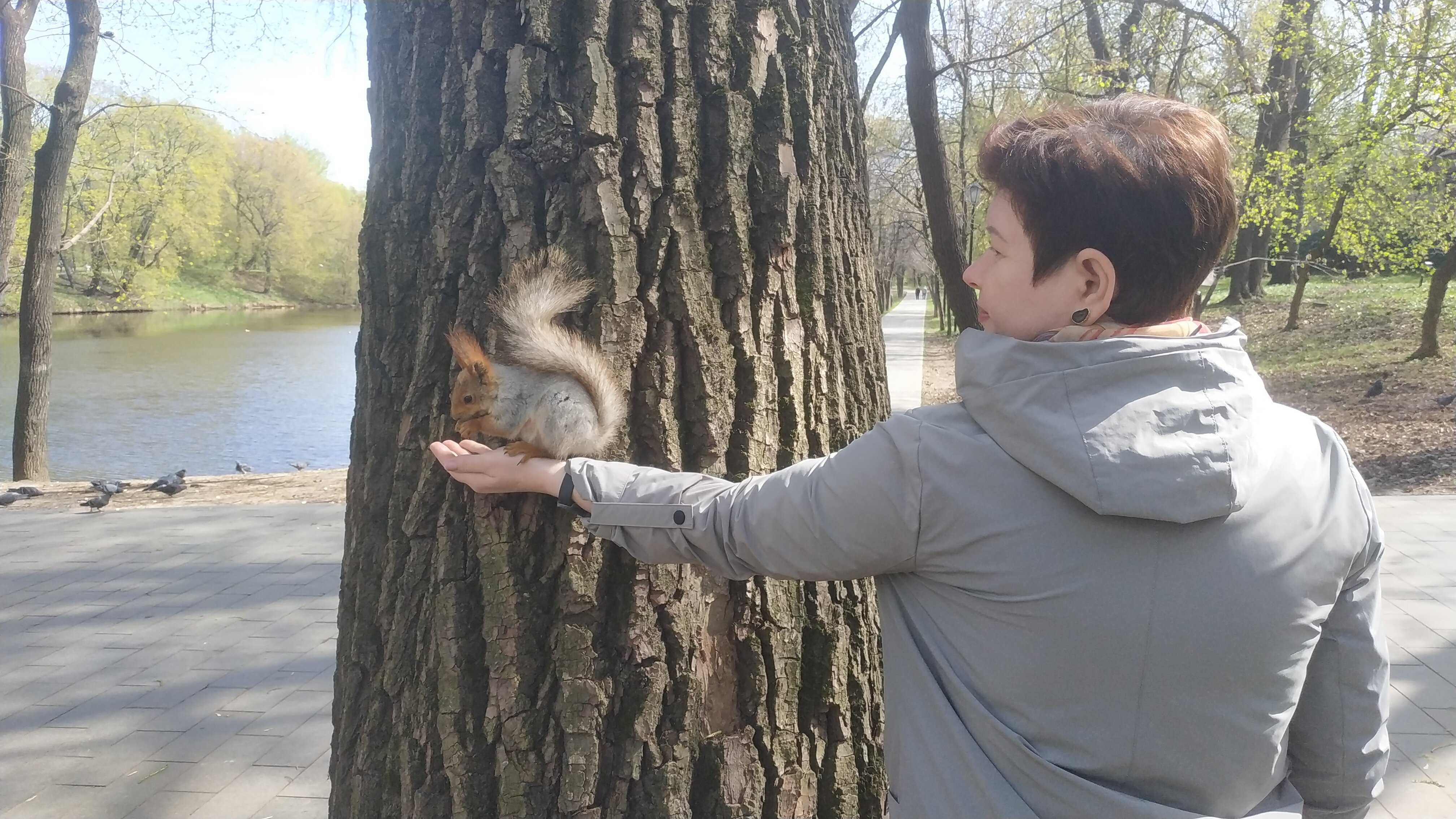 Фото Лефортовский мост