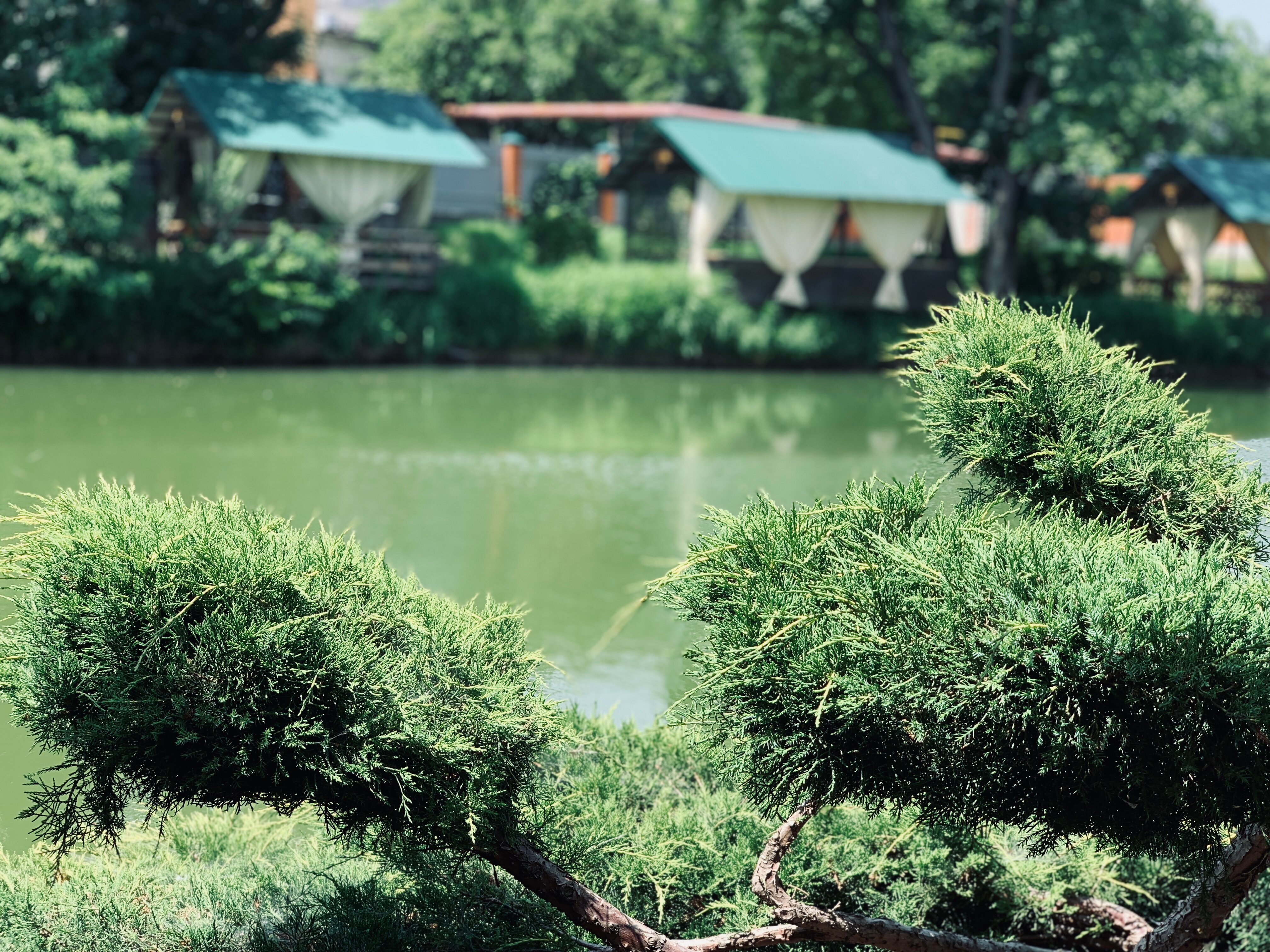 Фото Клевое место