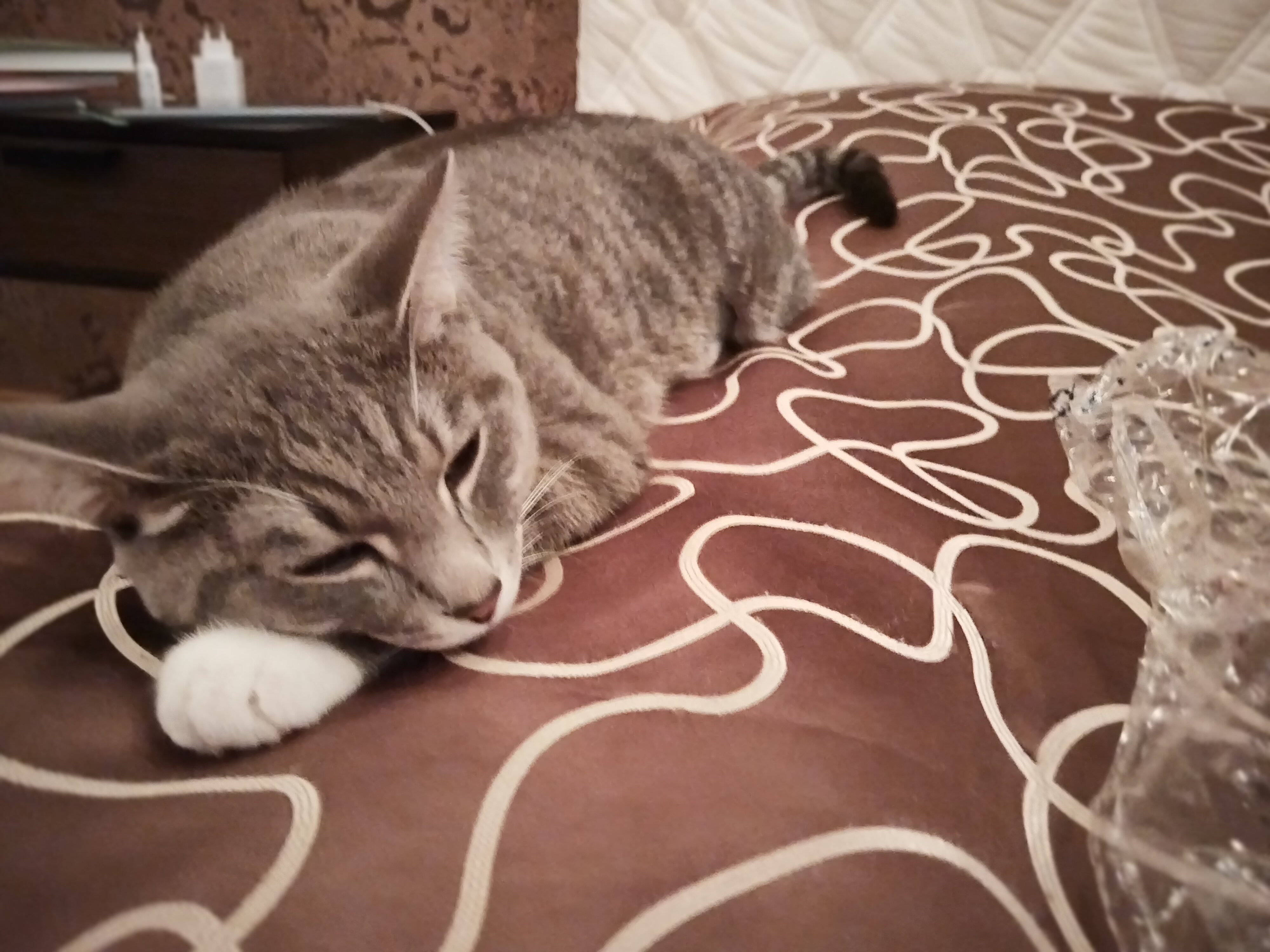 Фото Samaria Hotel And SPA