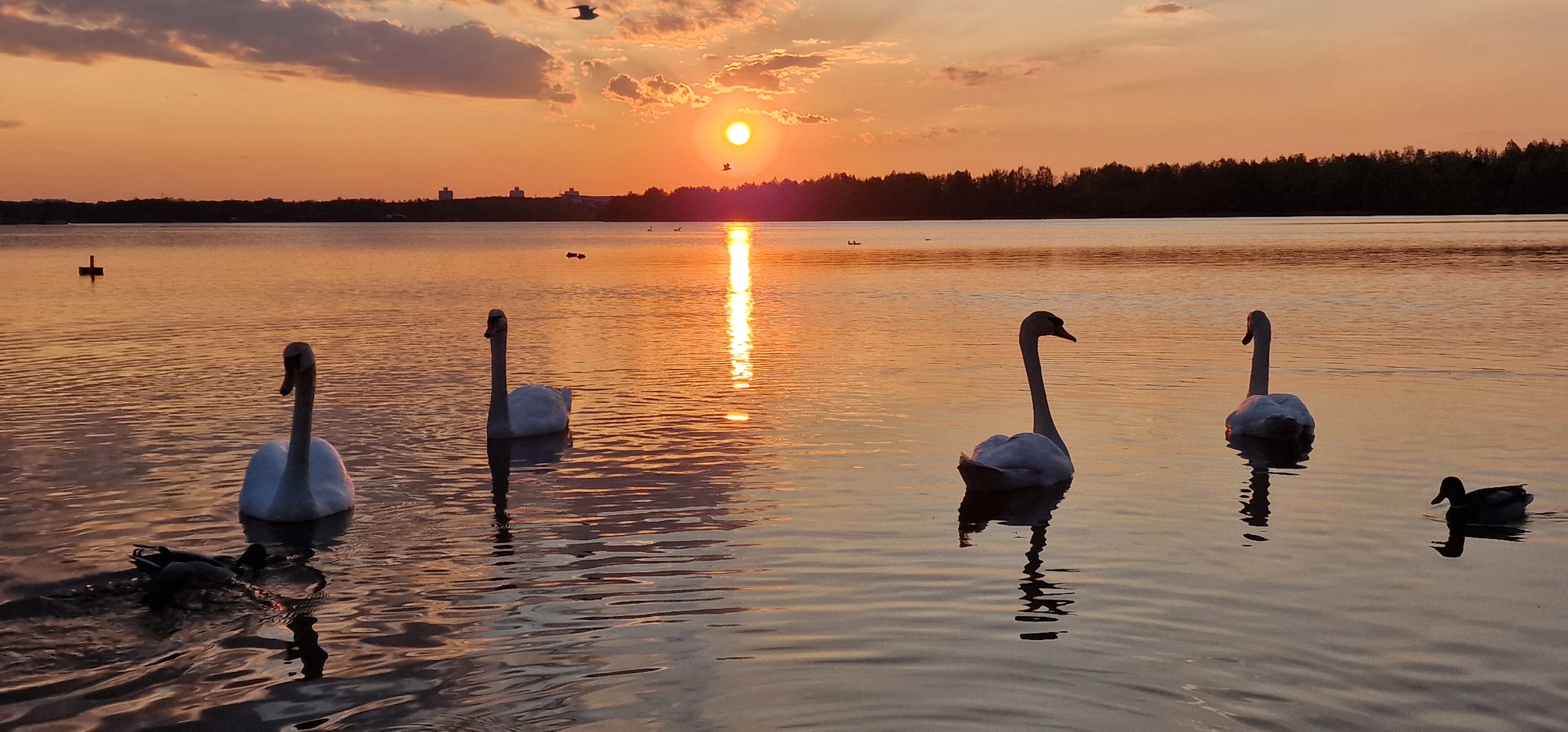 Фото Славянская