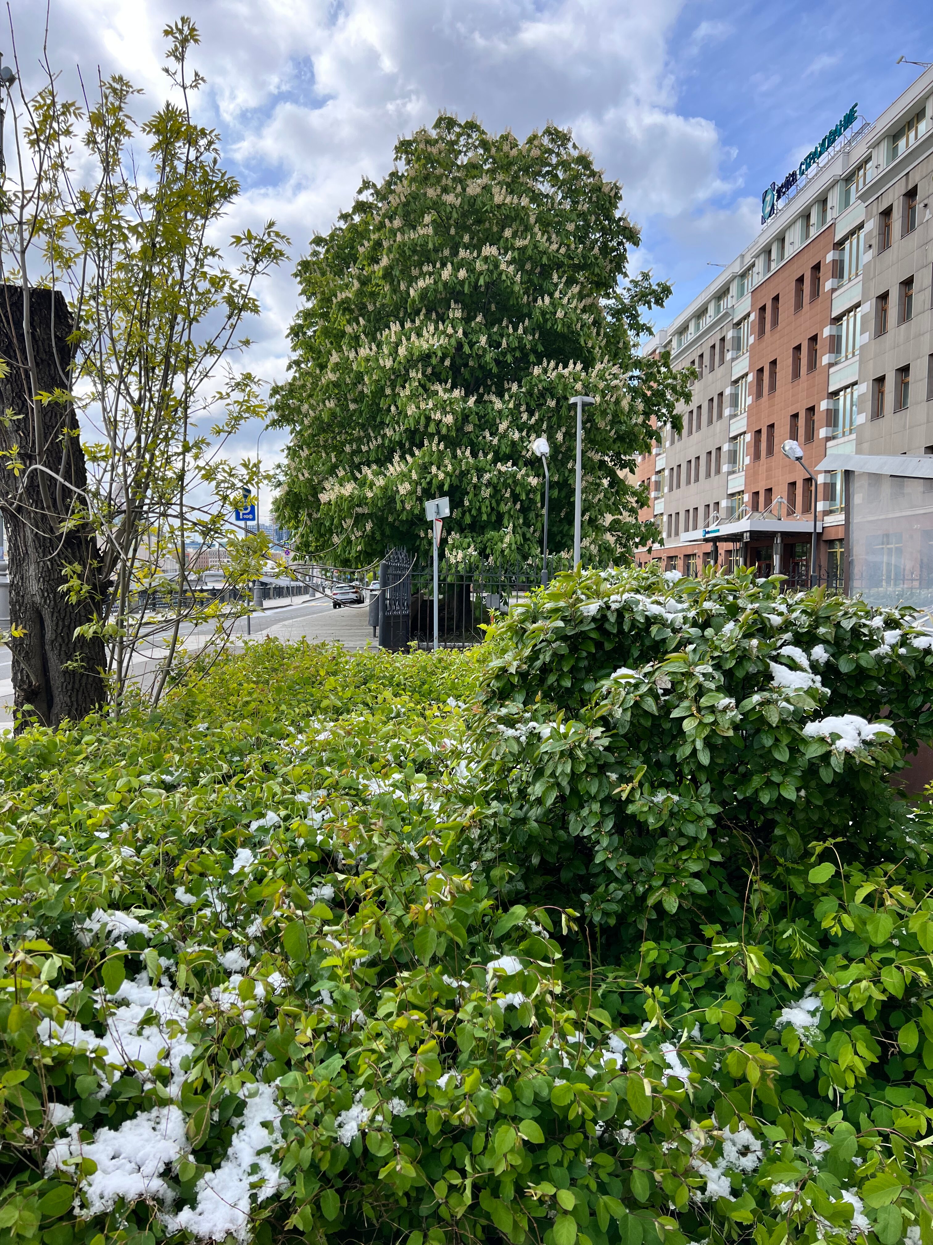 Фото Аквамарин by Zont Hotel Group