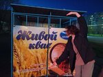 Дальпиво (Kulturnaya Street, 8) ، متجر بيع البيرة