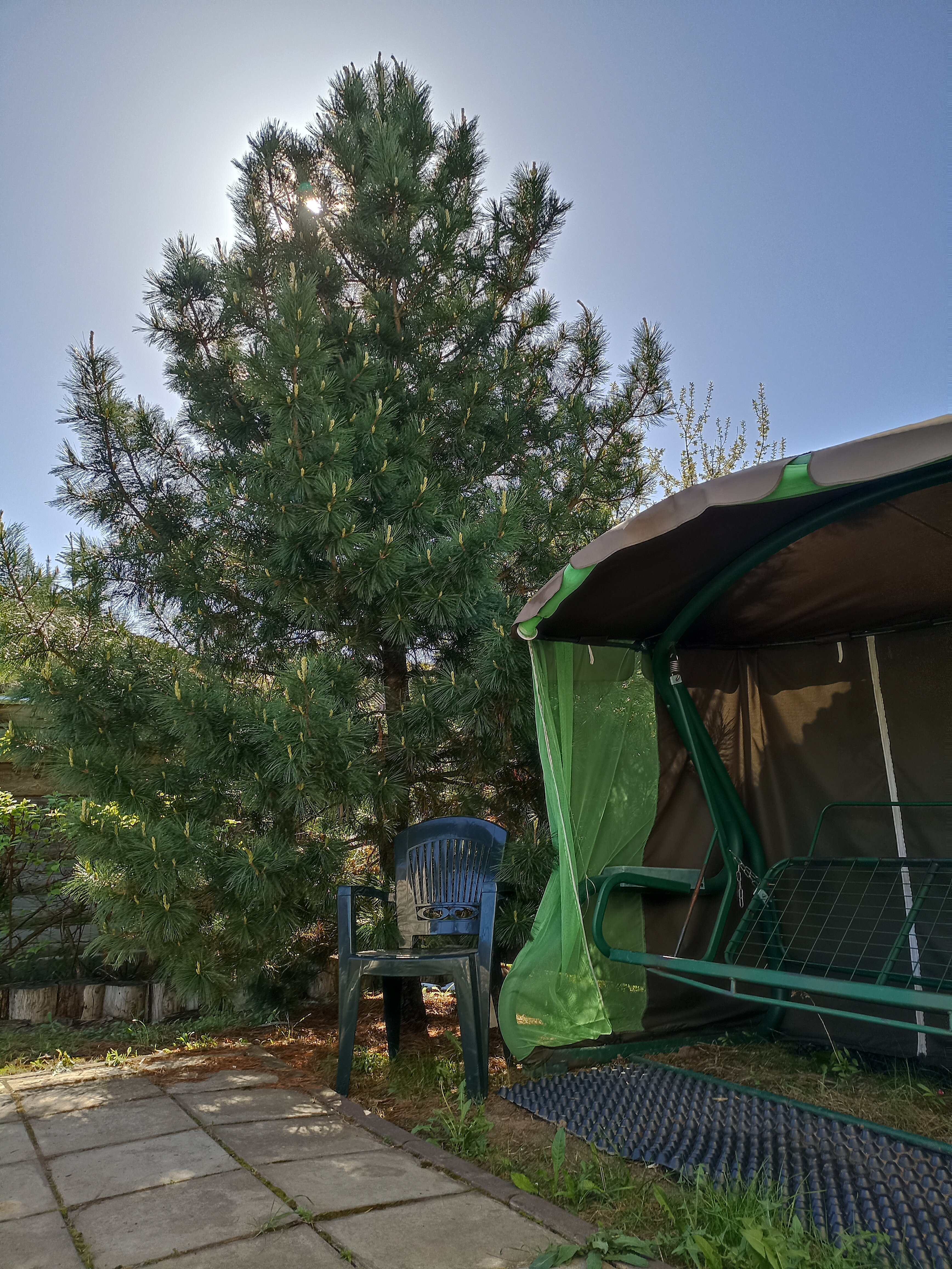 Фото Хоромы в Добром