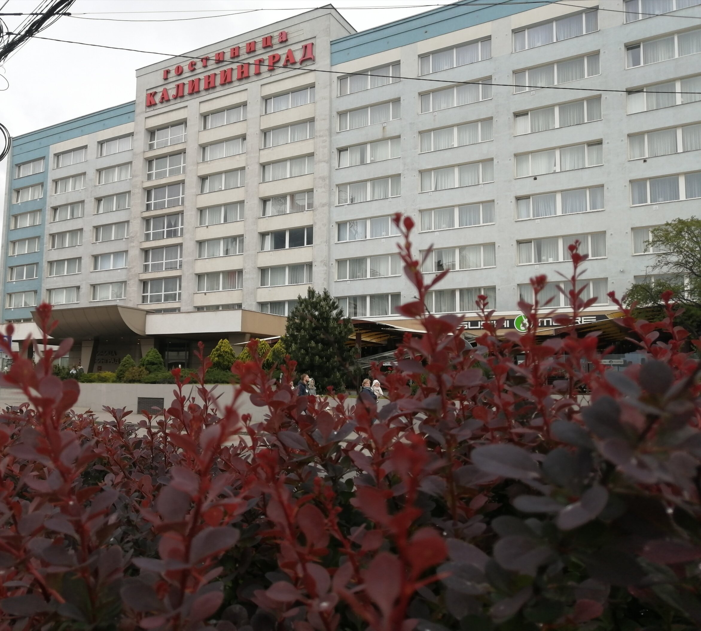 Фото Гостиница Калининград