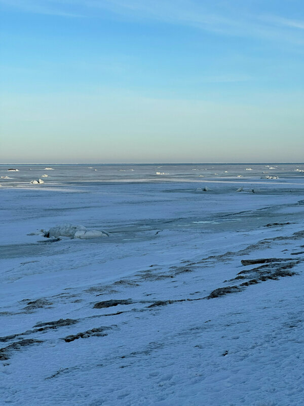 Фото Ёlki Лебяжье