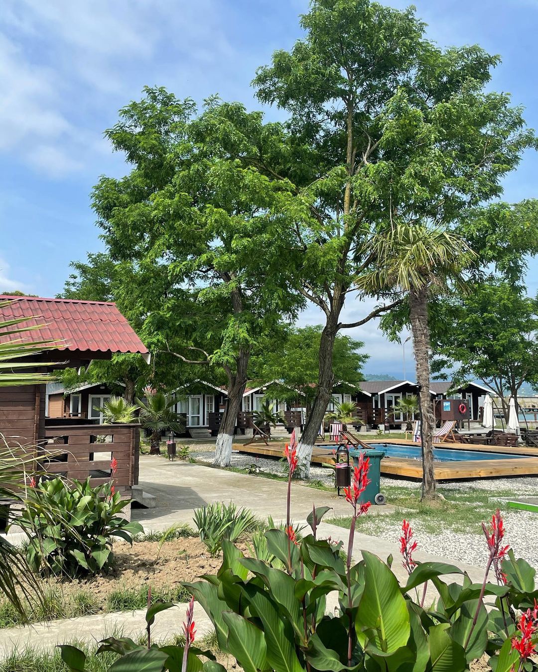 Фото Сухумская бухта