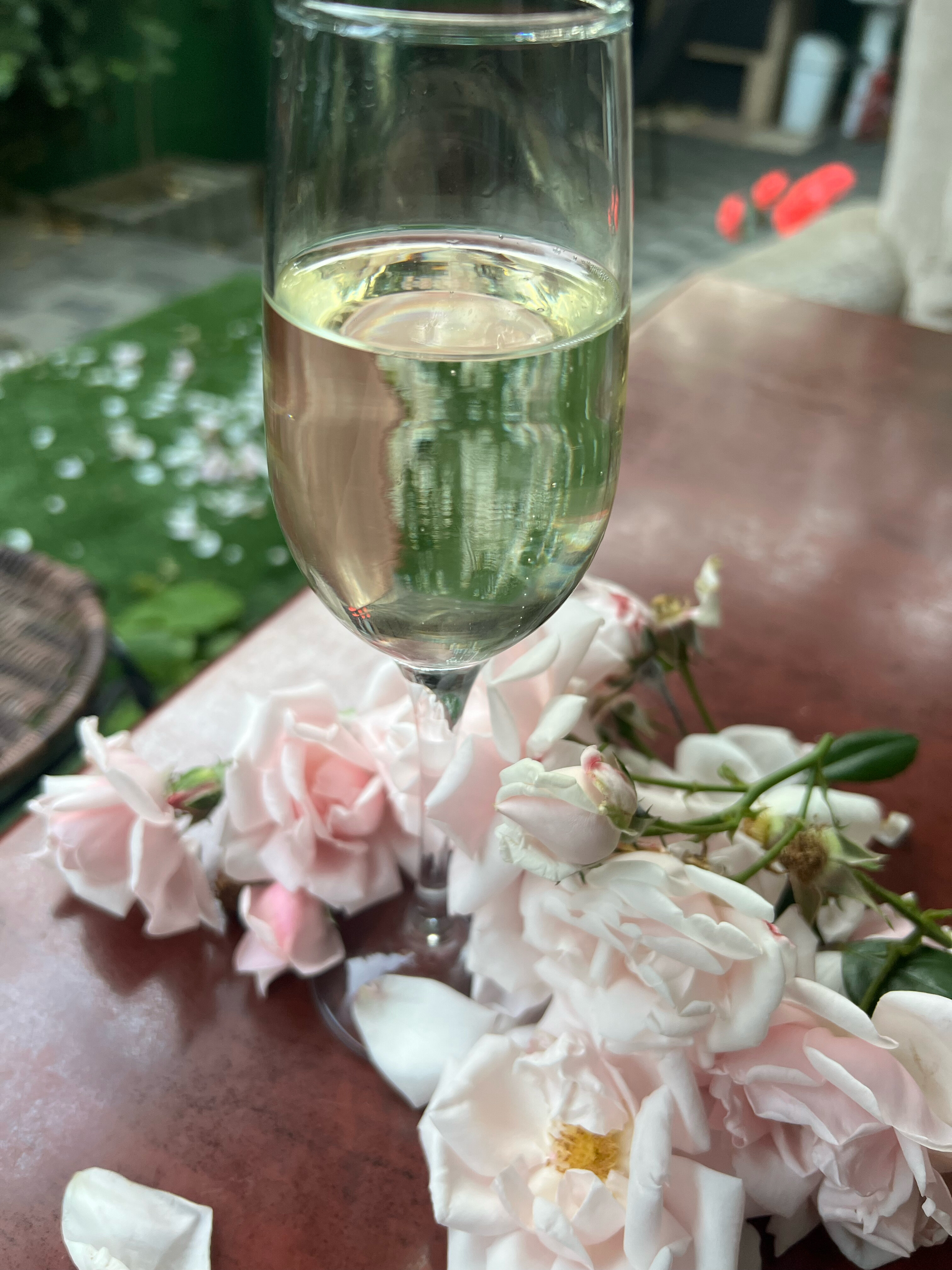 Фото Отдых у Моря