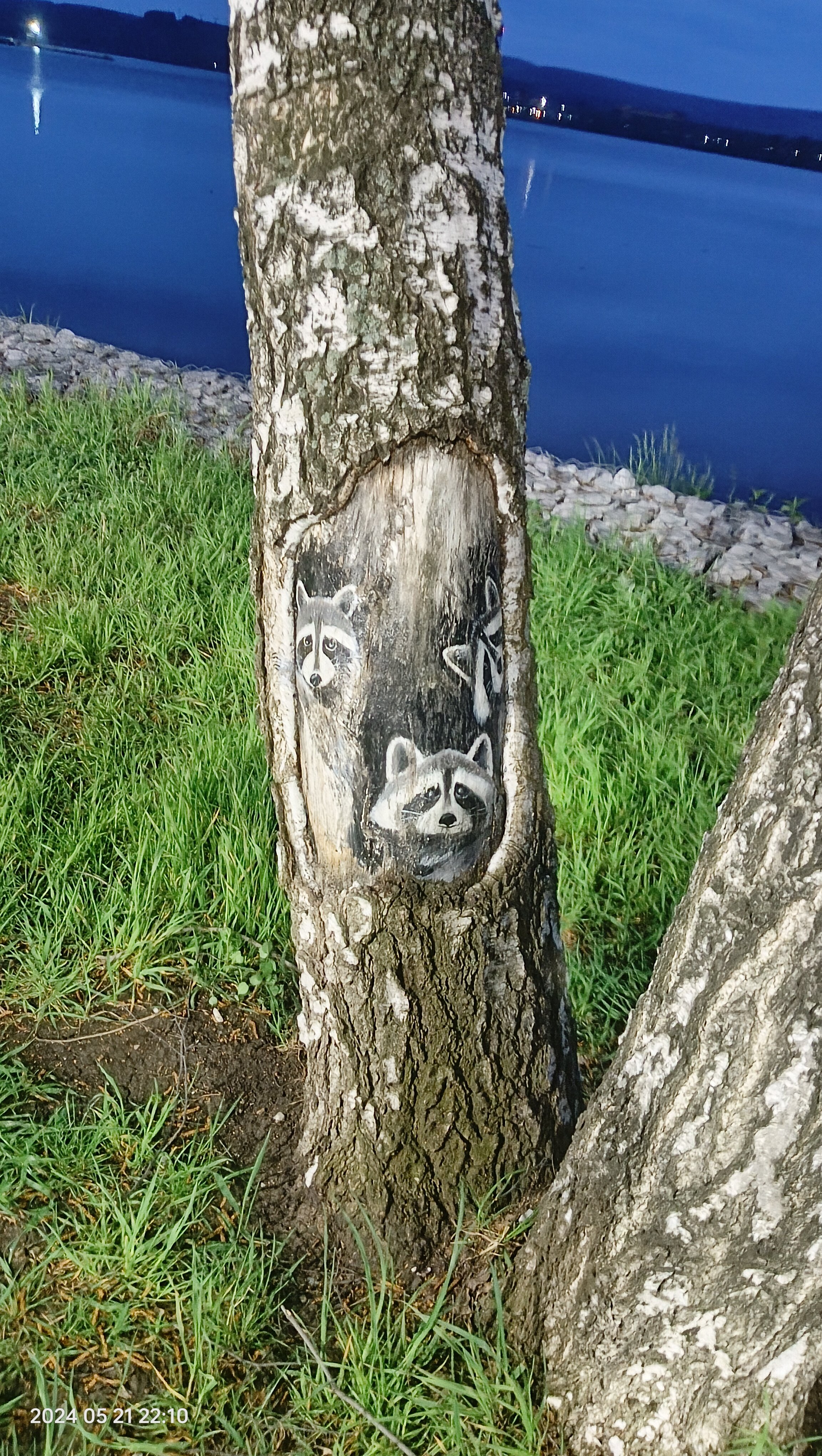 Фото Юбилейный