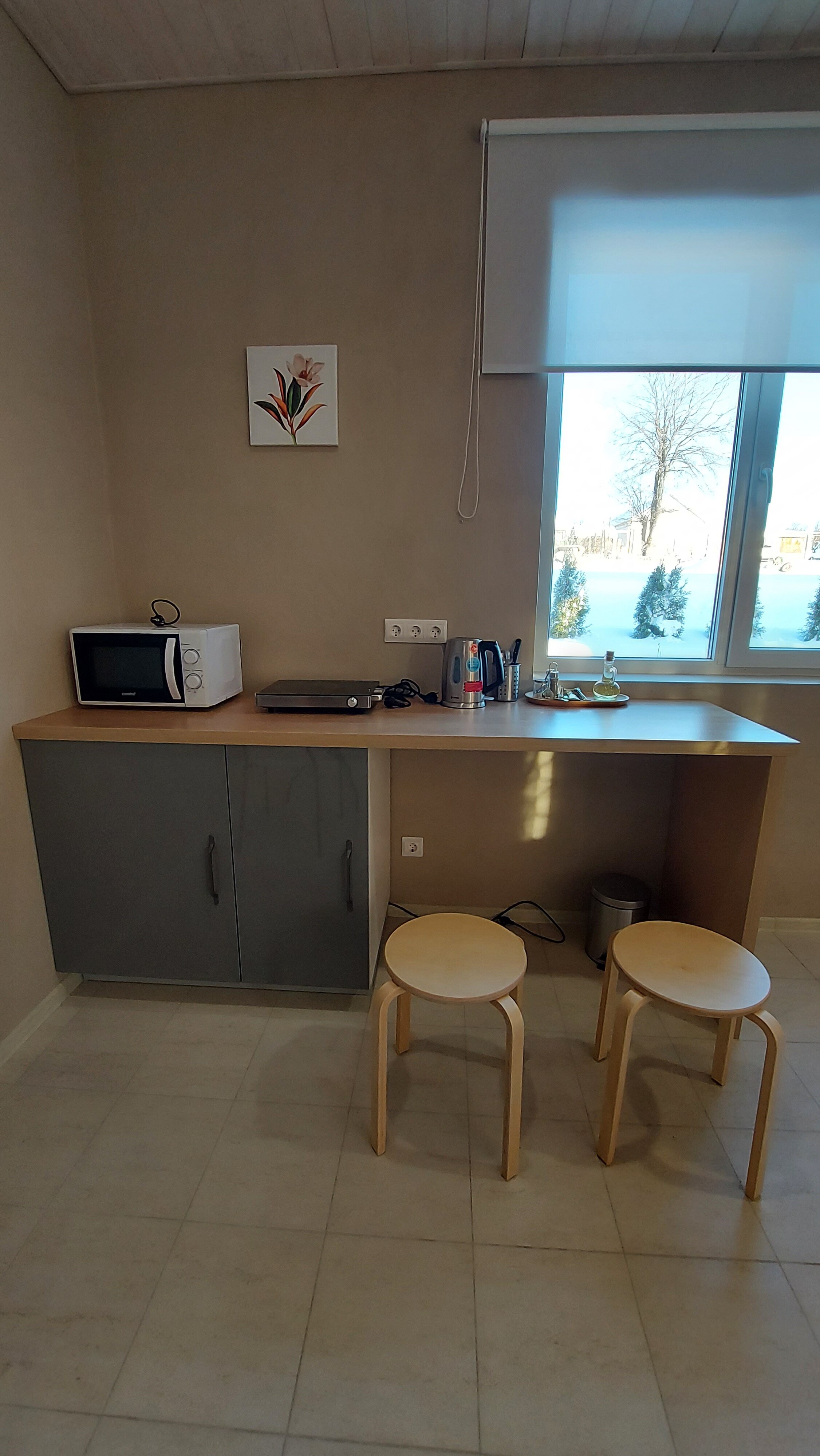 Фото Ёлки-Палки