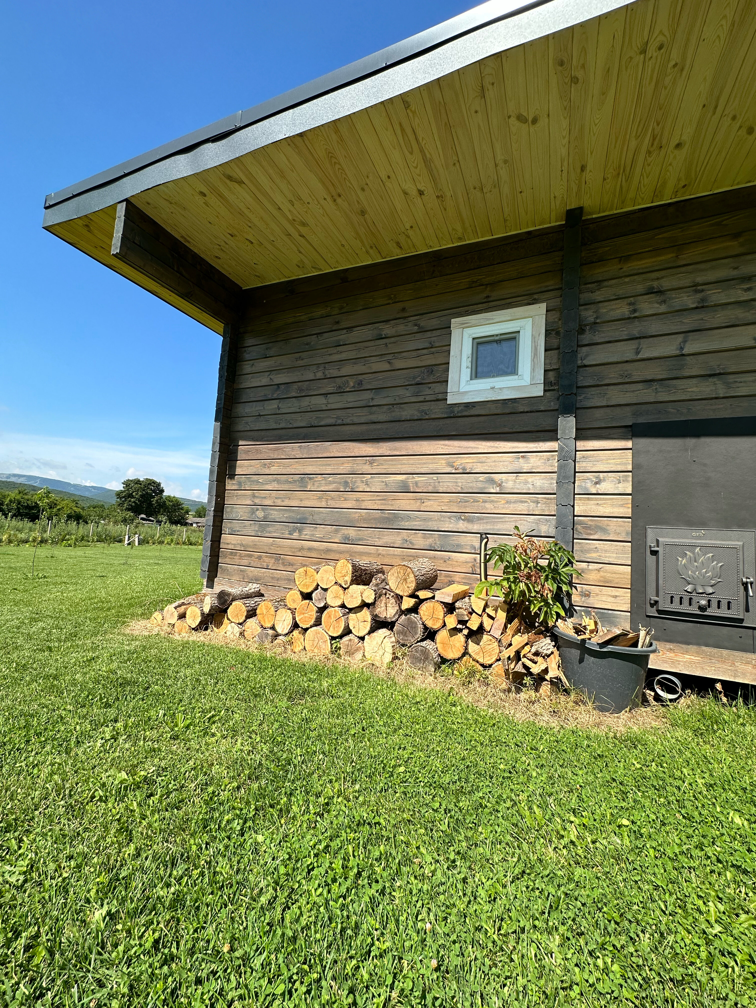 Фото Зарянка