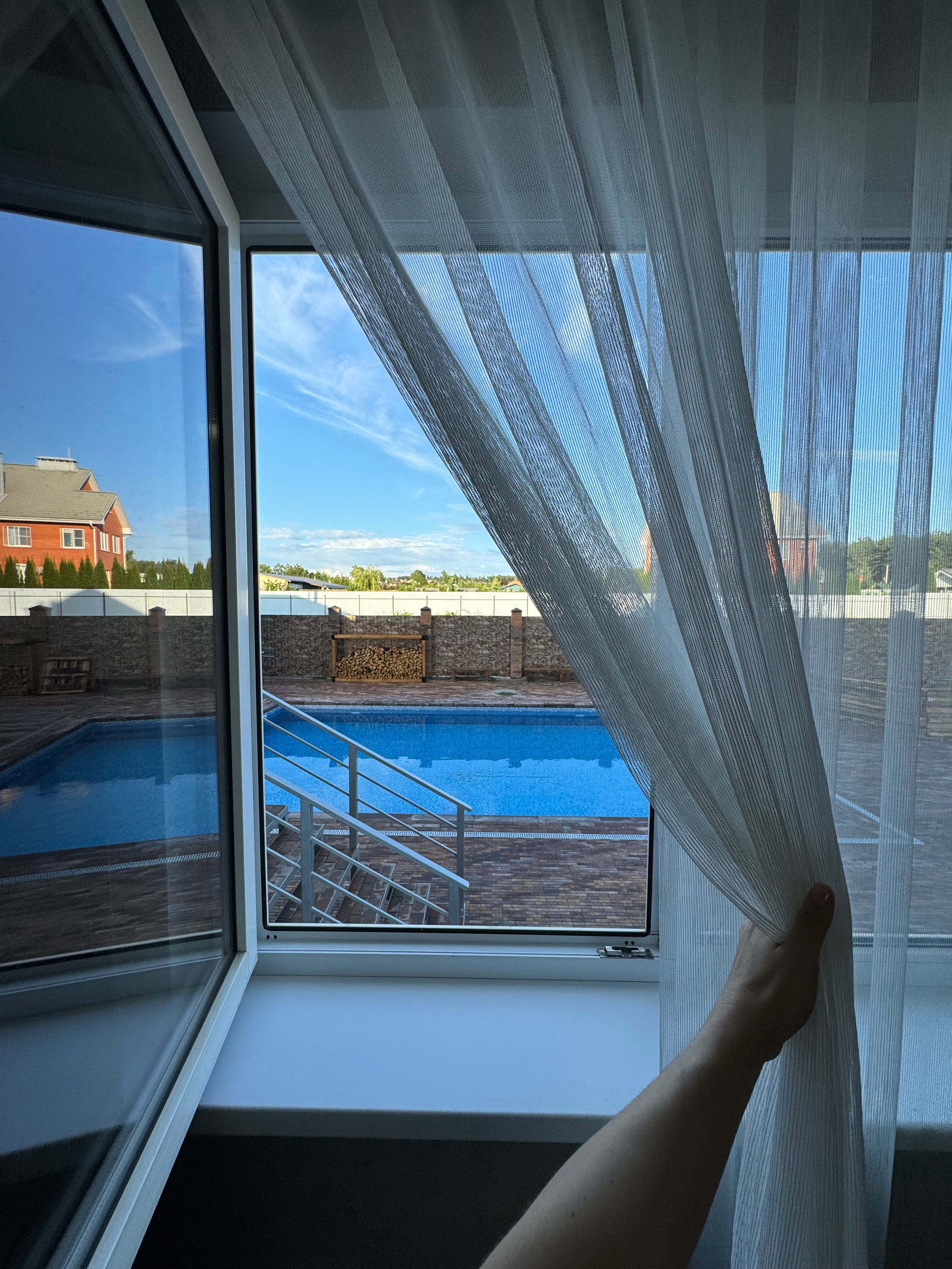 Фото Папоротник