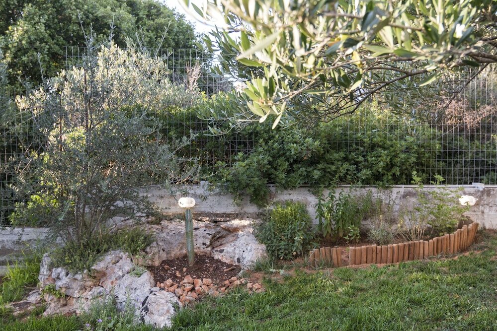 Фото Villa Iasmi