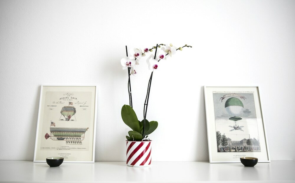 Фото Lovely Sempione Apartment