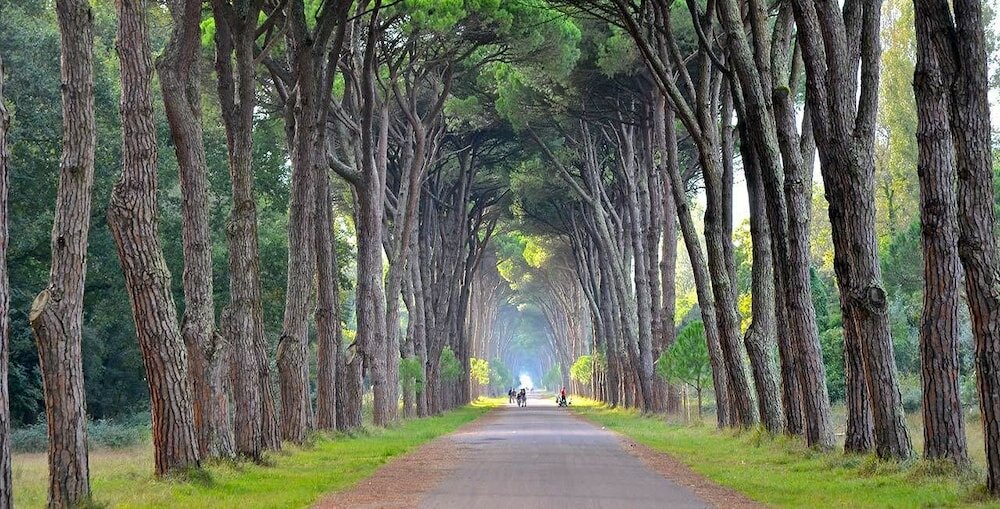 Фото Petit Hotel