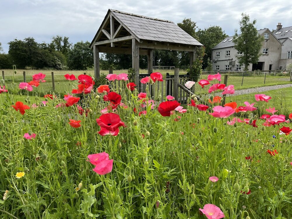Фото Ashbrook House B&b