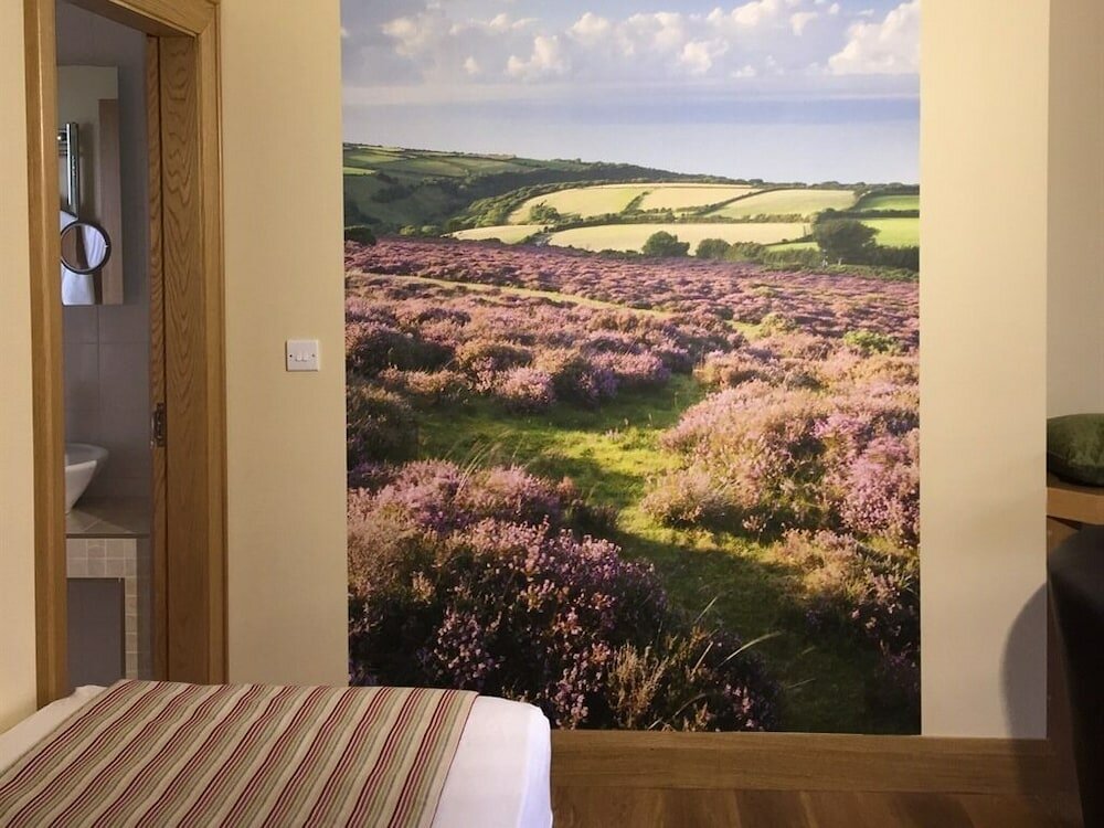 Фото Ashbrook House B&b