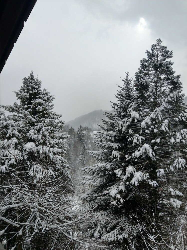 Фото Hotel Trojane