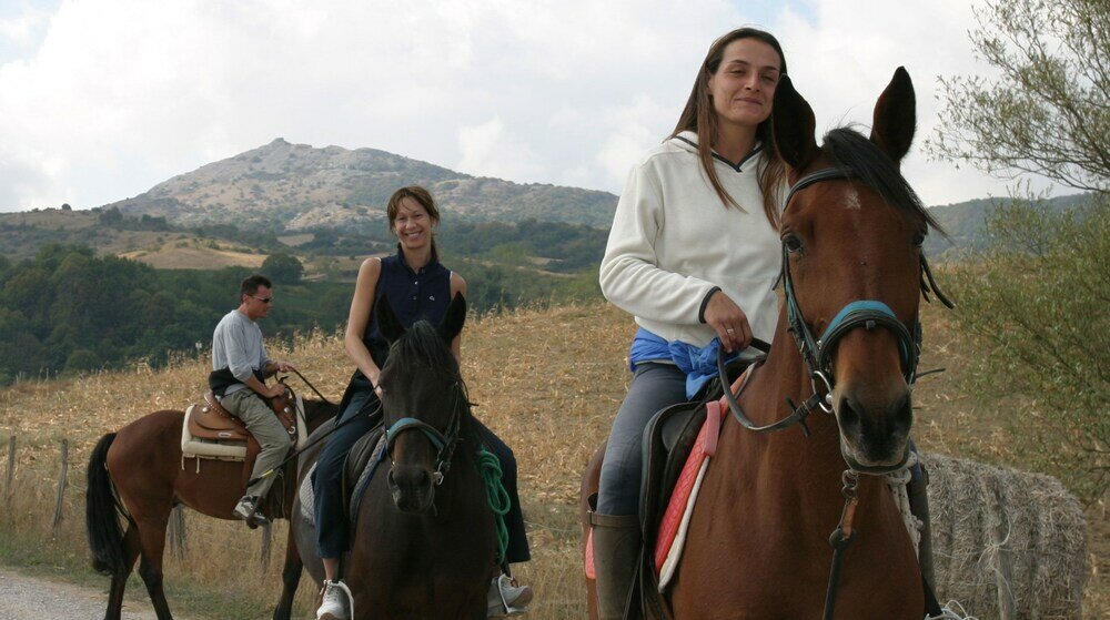 Фото Albergo Le Macinaie