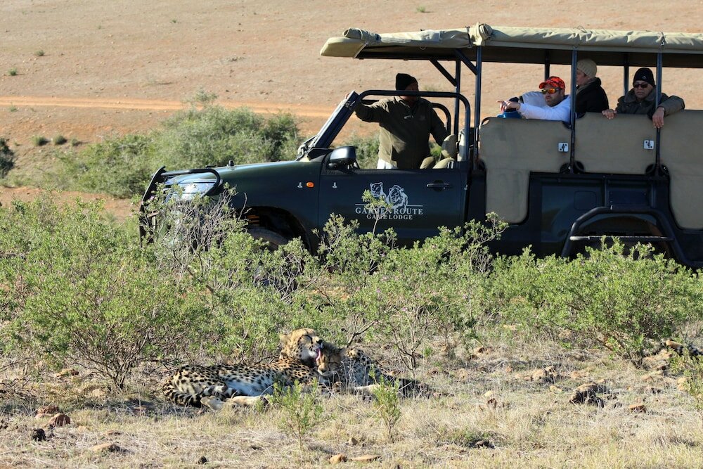 Фото Garden Route Game Lodge