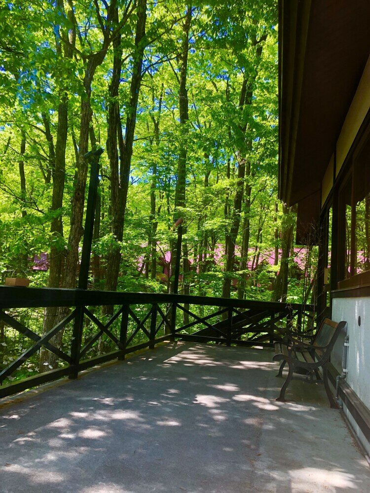 Фото The Guest House Japan Hakuba