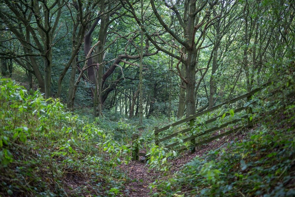 Фото Riding Farm Cottages