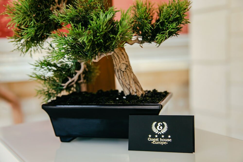 Фото Европа