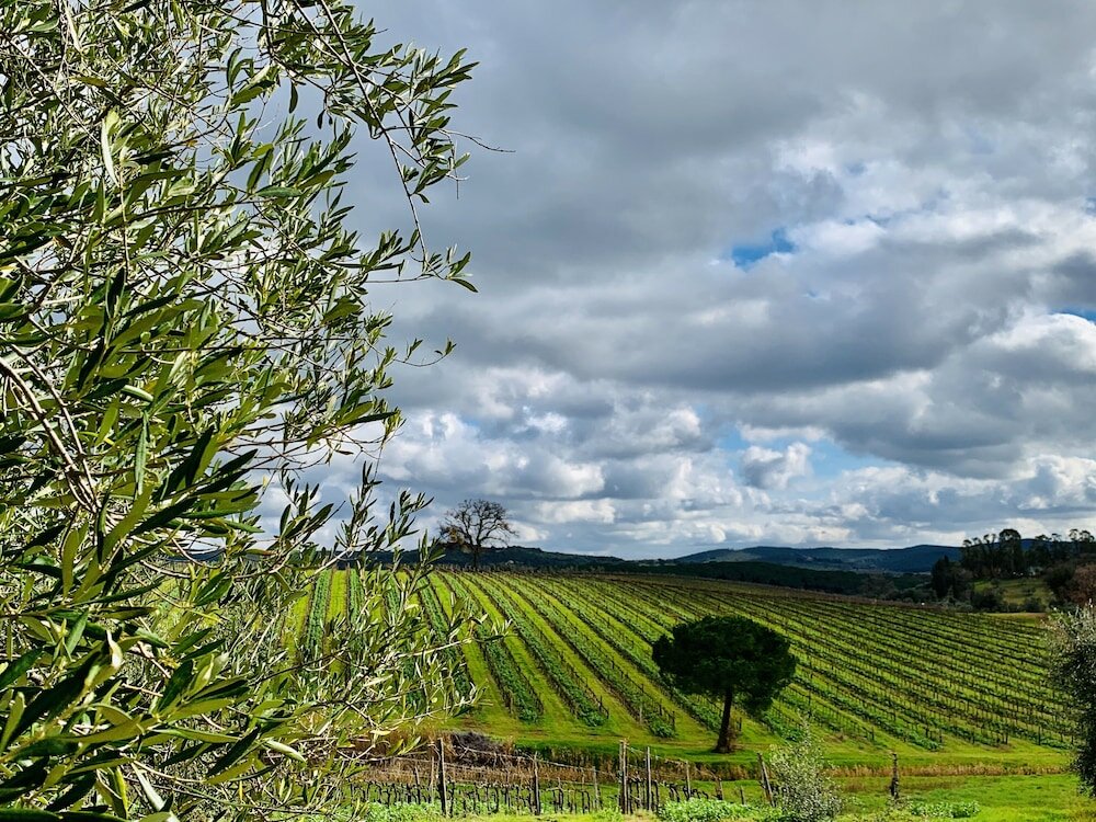 Фото Tenuta Agricola Fraschiera