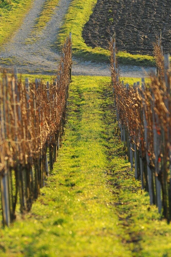 Фото Mein Inselglück