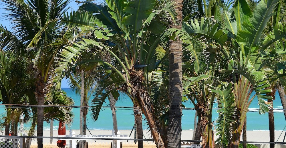 Фото Hollywood by the Sea Hotel