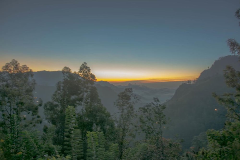 Фото The Onestar Homestay