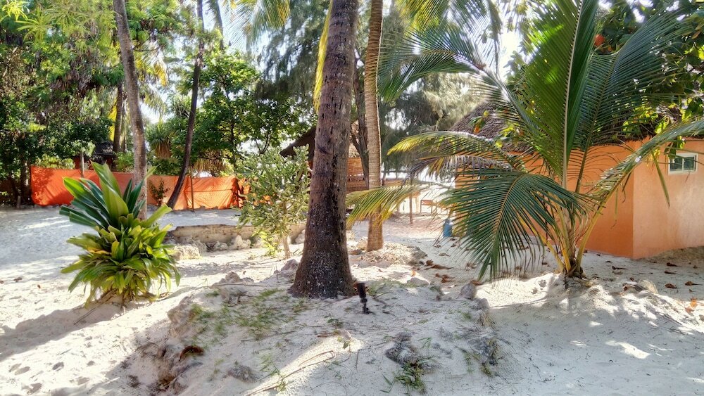 Фото Twisted Palms Lodge & Restaurant