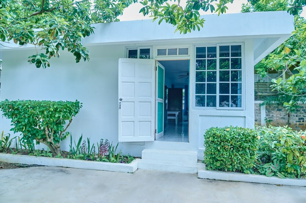 Фото The Yellow Bird