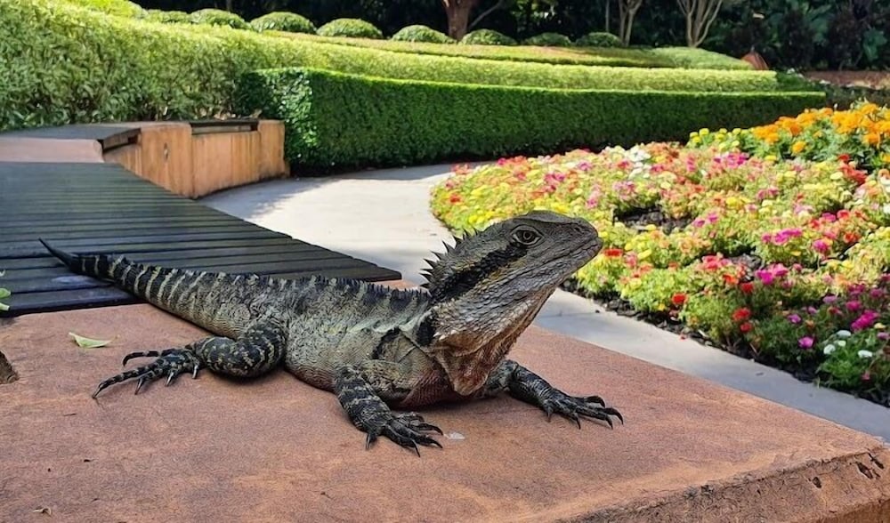 Фото The Astor Apartments