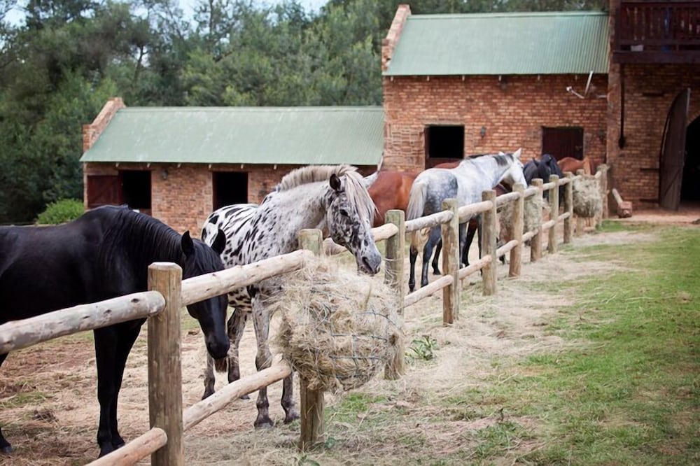Фото Dunkeld Country Estate