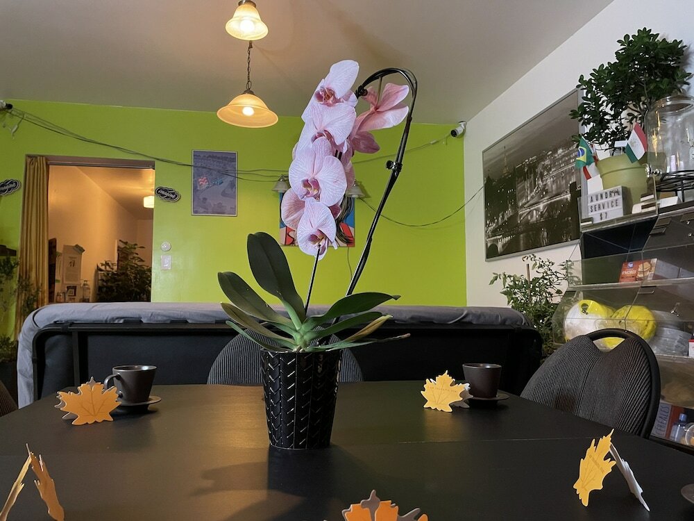 Фото Pied-A-Terre Mont-Royal