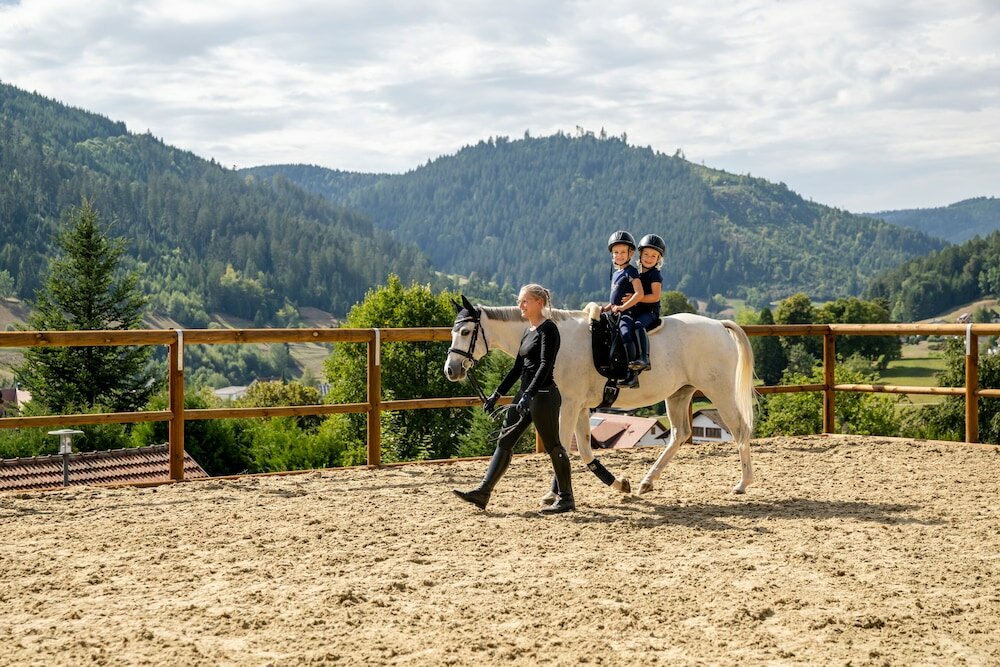 Фото Hotel Bareiss