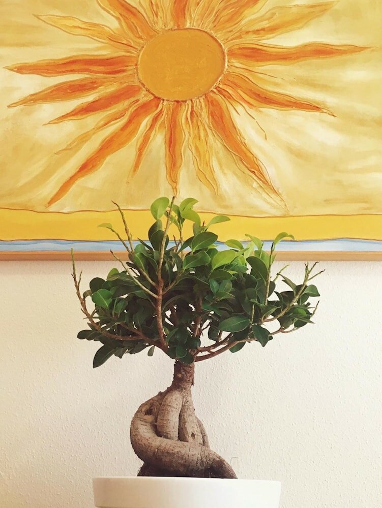 Фото Acqua Chiara