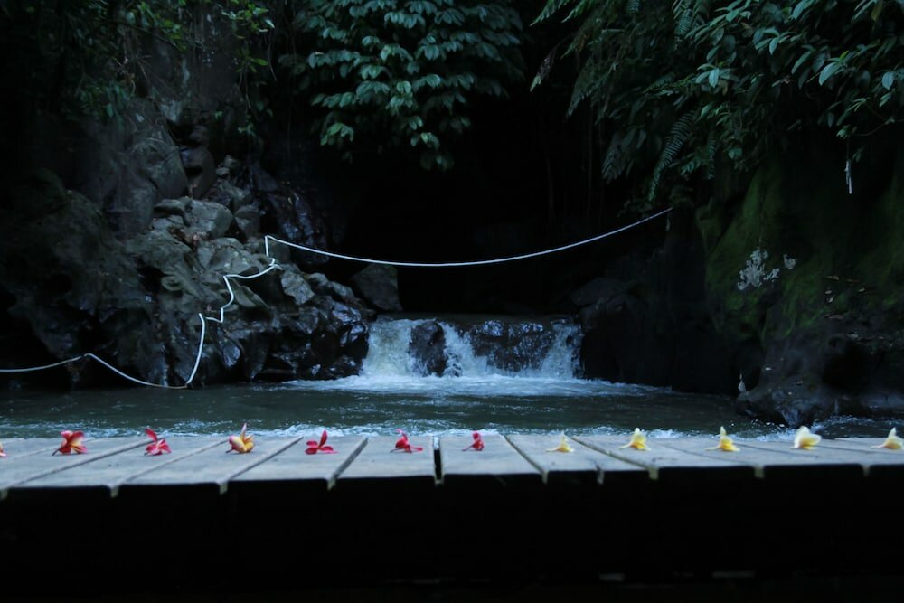 Фото Anahata Villas & SPA Resort