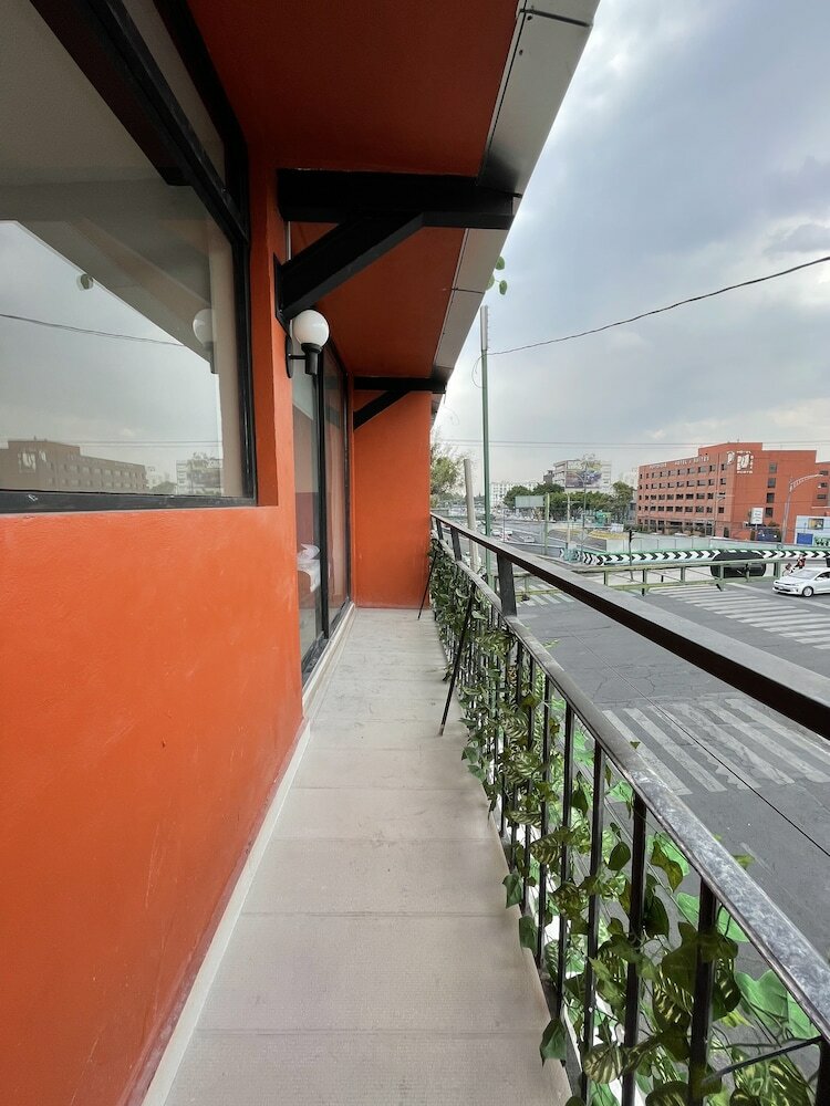 Фото Colmena Monterrey