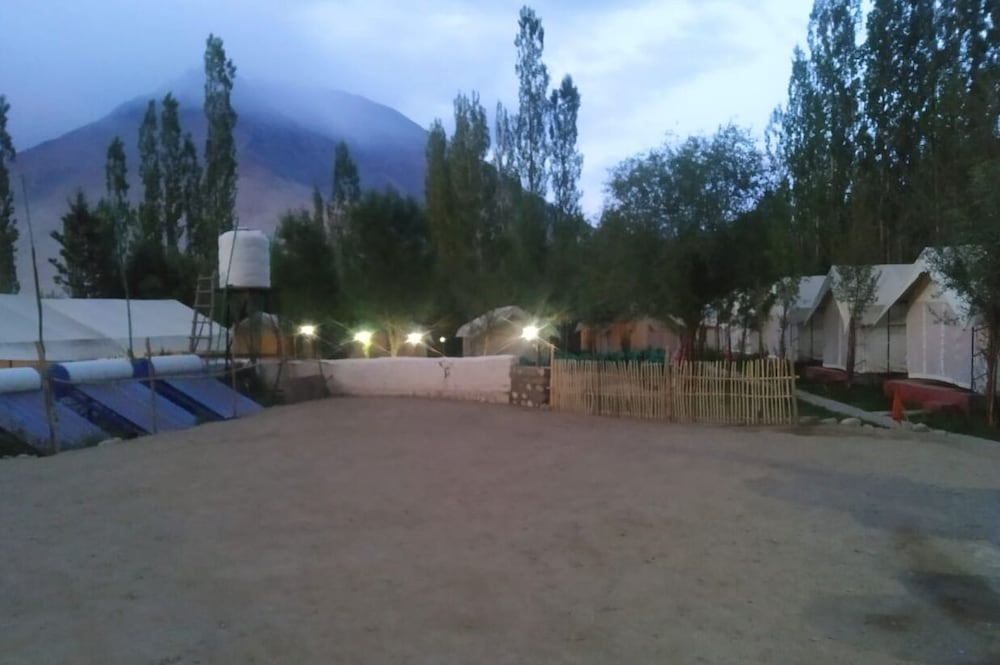 Фото Lumbini Camp- Nubra Valley