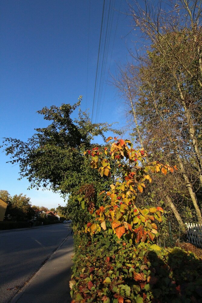 Фото The Sundeck-a romantic apt in Tallkrogen