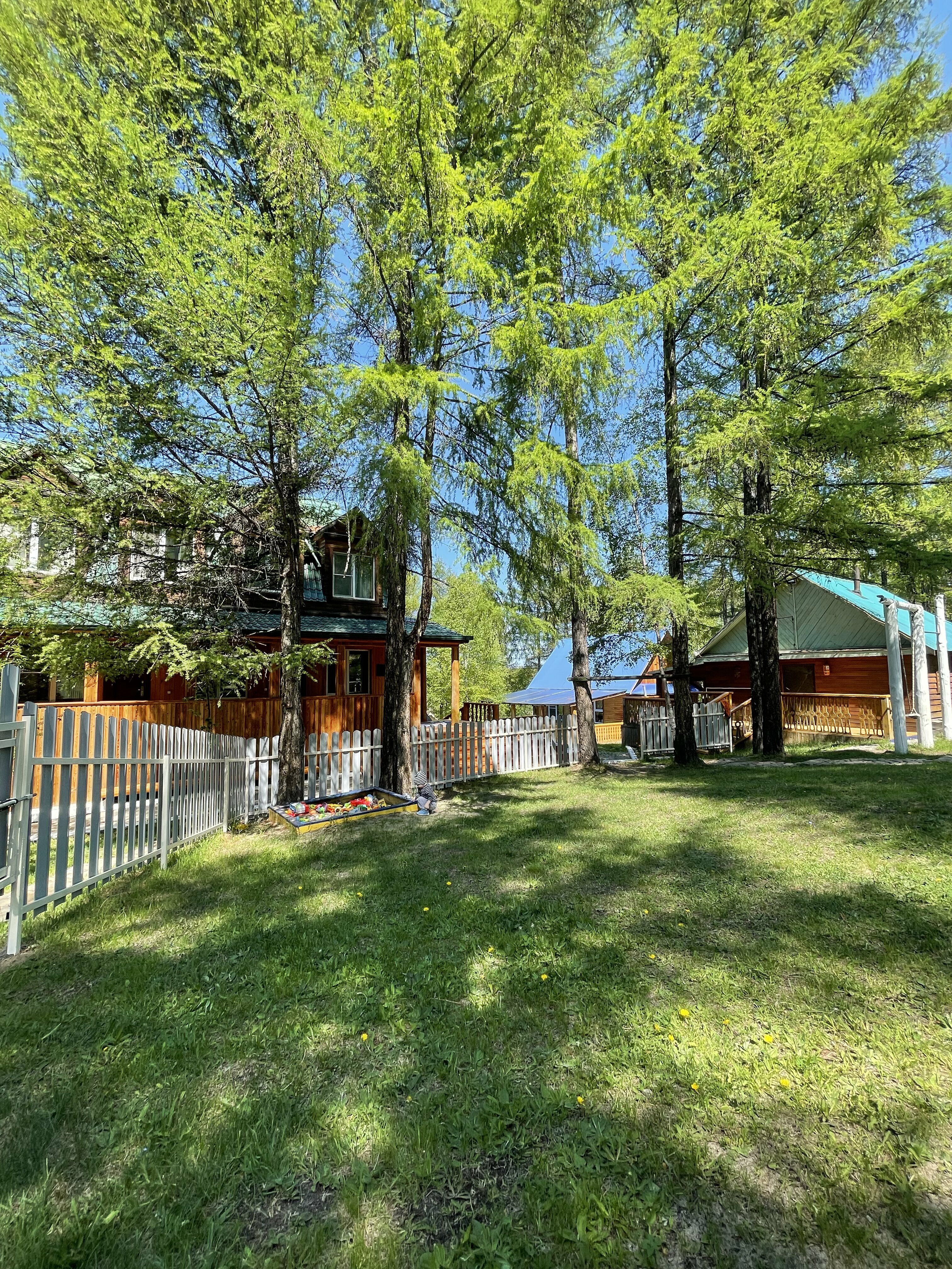 Фото Звездный