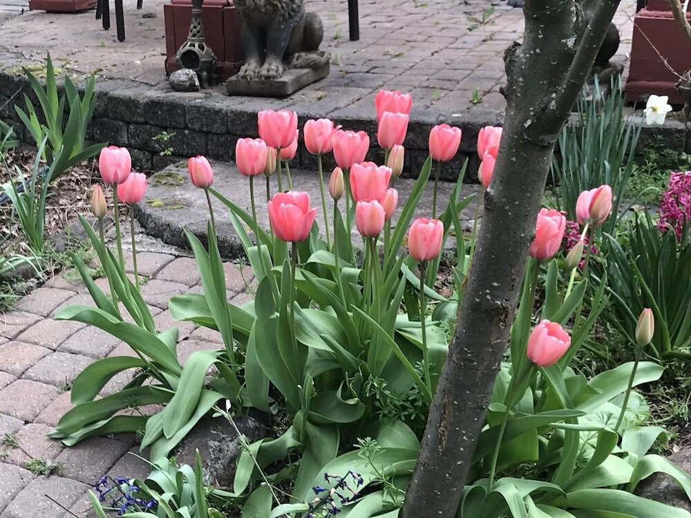 Фото Arden Forest Inn