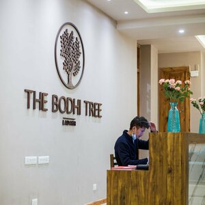 Гостиница The Bodhi Tree