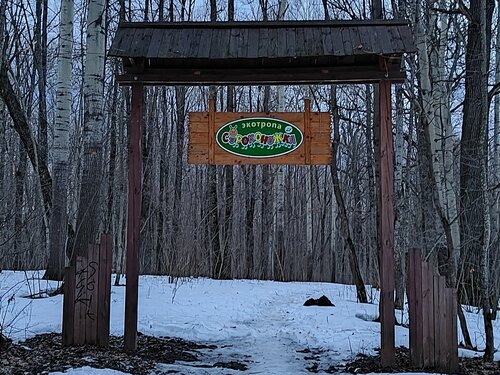 Парк культуры и отдыха Ельниковская роща, Новочебоксарск, фото