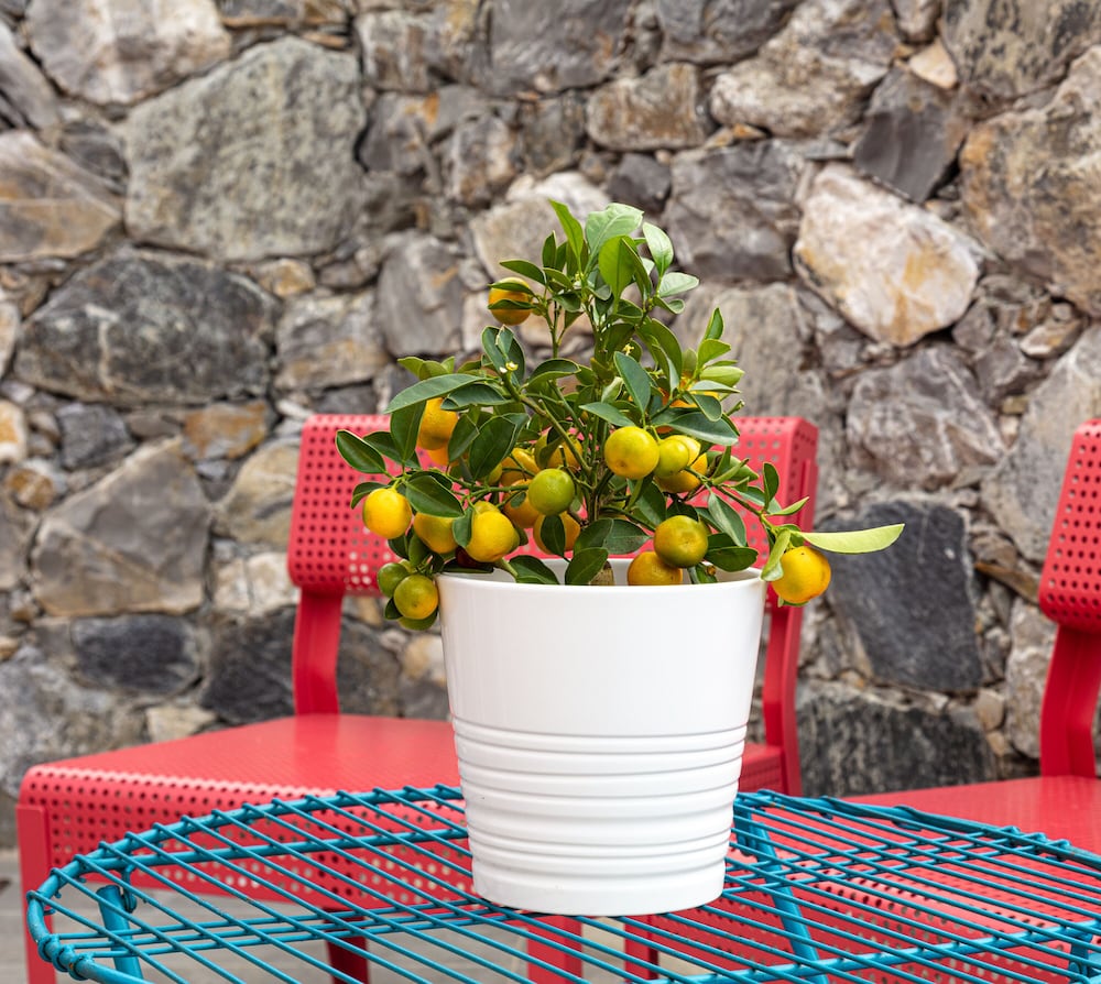 Фото Aria Design B&b Levanto