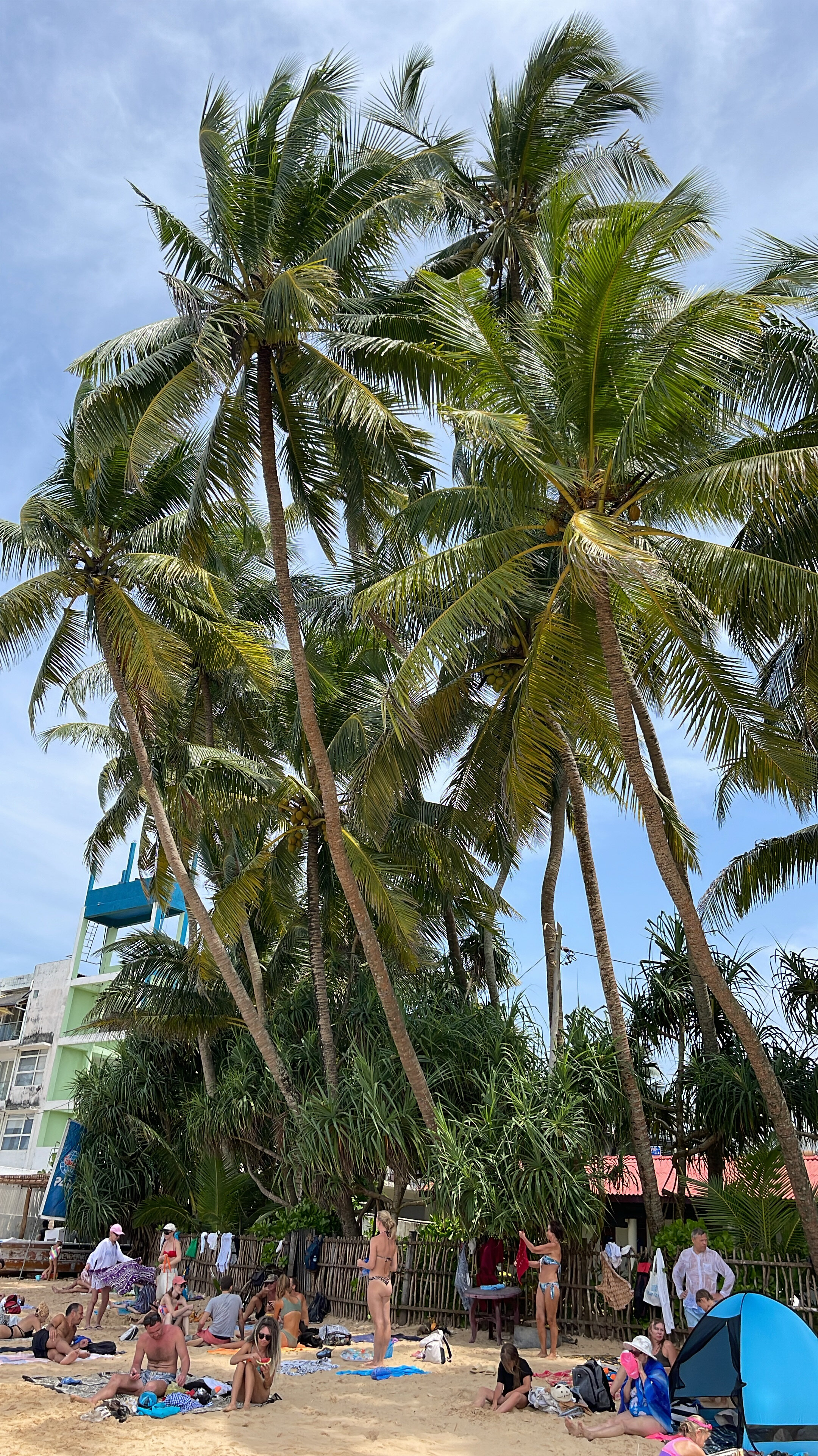 Фото Hikkaduwa Beach Hotel